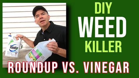 20 Vinegar Weed Killer is a quick-acting, horticultural vinegar biopesticide for non-selective control of herbaceous broadleaf weeds and weed grasses. . Vinegar weed killer hoax